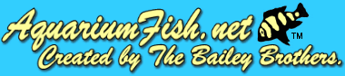 AquariumFish.net Logo